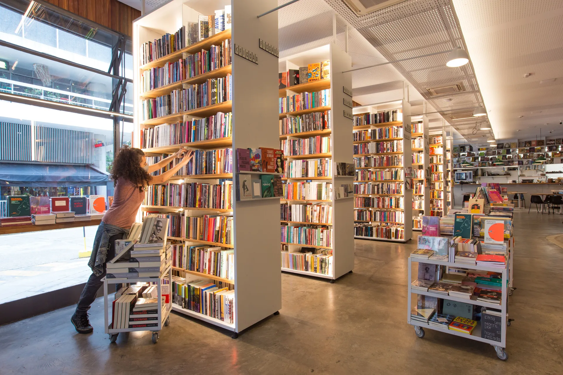 livraria megafauna